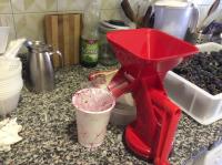 Passa bucce e semi di pomodoro