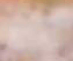 schiacciata con i ciccioli