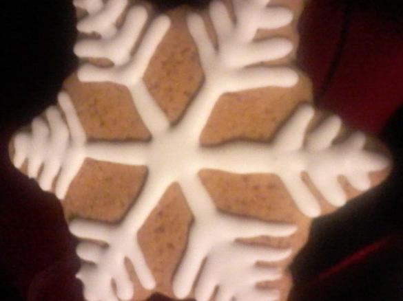 Biscotti di pan di zenzero