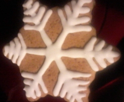 Biscotti di pan di zenzero