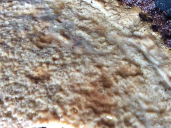 Crostata ricotta, latte di cocco e cacao