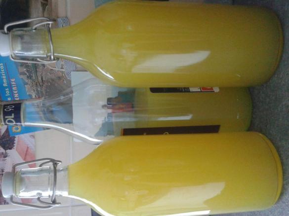 Limoncello di Zia Silvia