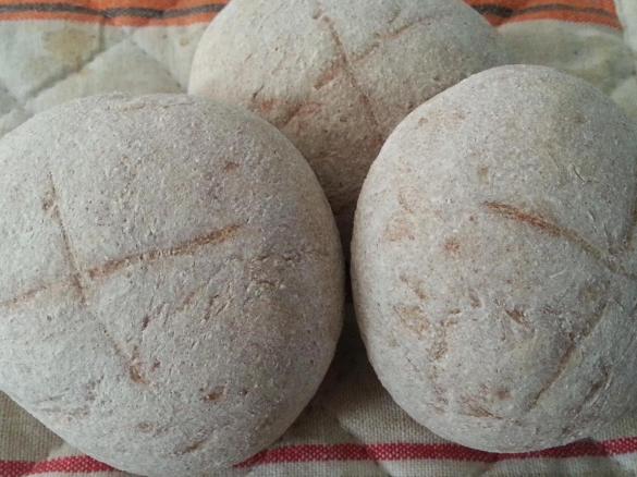 Panini integrali con p.m.