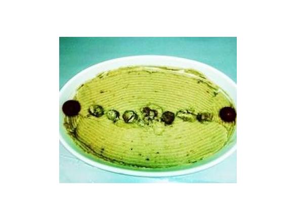 purè sottobosco funghi e castagne