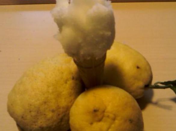 "SA CARAPIGNA"  il gelato sardo