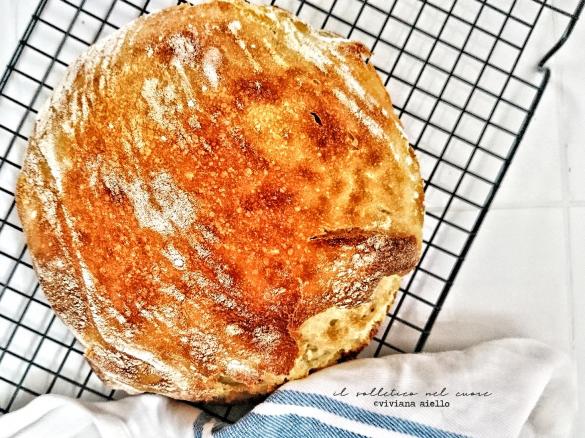 Pane comodo senza impasto - no knead bread