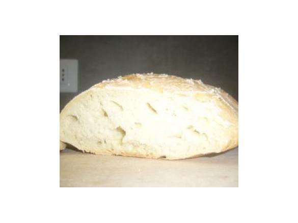 pagnottine di semola di grano duro con pasta madre