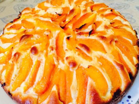 Torta alla albicocche