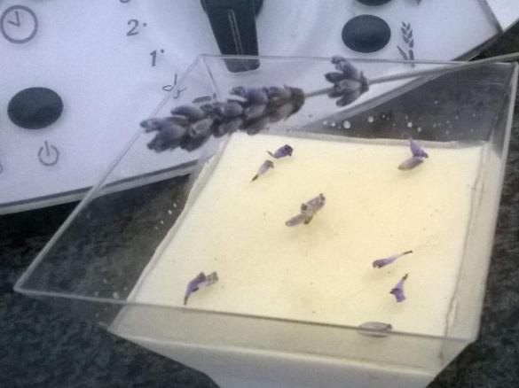 Panna cotta alla lavanda