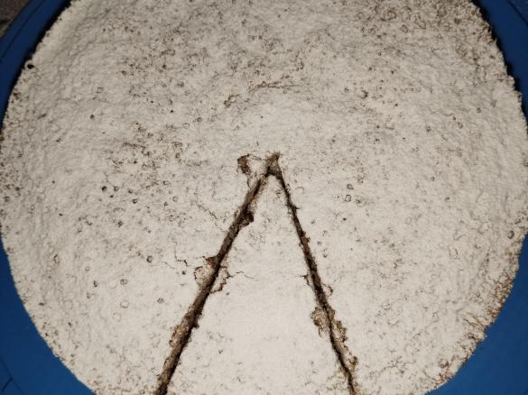 Torta albumi, mandorle, nocciole e cioccolato fondente