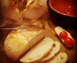 Pane tipo Barese a lievitazione mista e cottura in campana