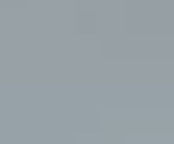 PIZZA ARROTOLATA CON VERDURE