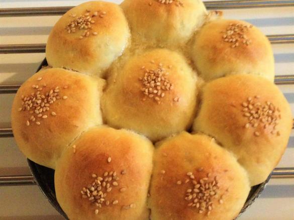 Il mio danubio salato