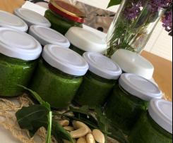 Pesto di rucola CONTEST: PESTO E CONDIMENTI FREDDI