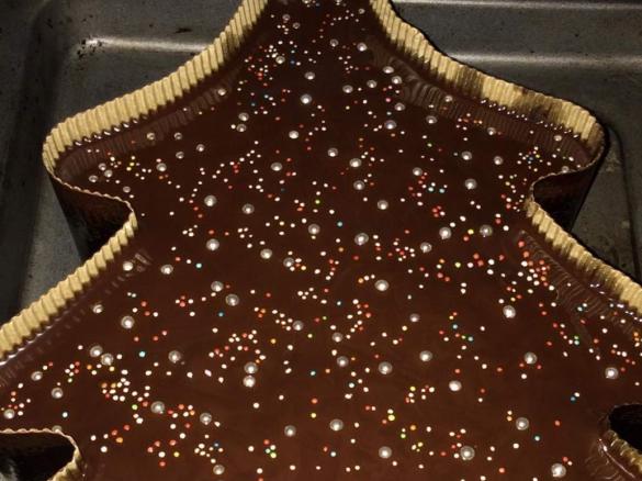 Albero di natale agli agrumi con la glassa al cioccolato