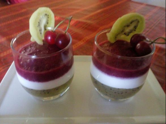 PANNA COTTA MADE IN ITALY- CONTEST TRICOLORE