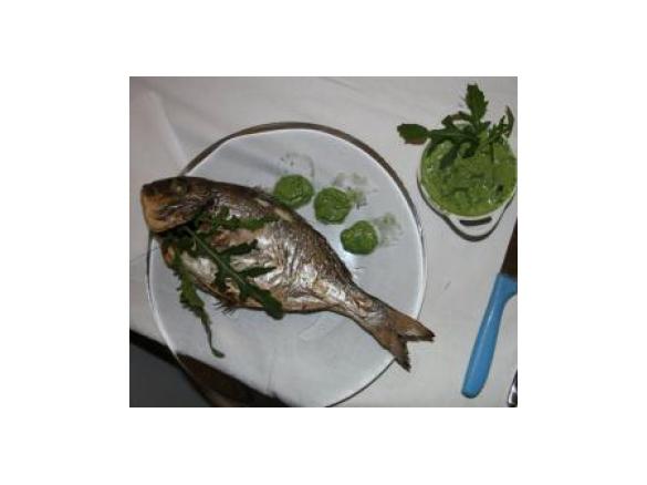 orata con salsa di rucola