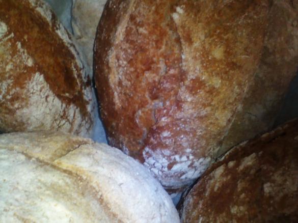 PANE DI SEGALE CON SEMI DI CUMINO, FINOCCHIO ed ANICE