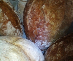 PANE DI SEGALE CON SEMI DI CUMINO, FINOCCHIO ed ANICE