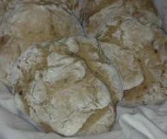 Segalini - Vorschlag