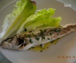 DENTICE con citronette