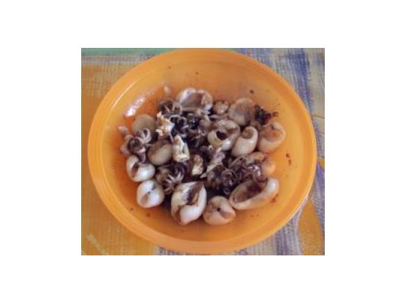 Seppie in salsa di zenzero