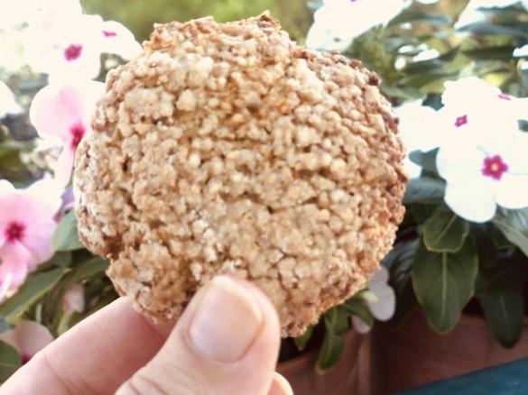 Biscotti di orzo e avena