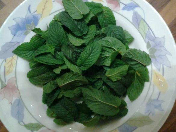 SCIROPPO ALLA MENTA PER GRANITE