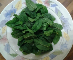 SCIROPPO ALLA MENTA PER GRANITE