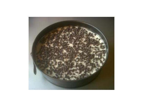 CHEESECAKE CIOCCOMENTA