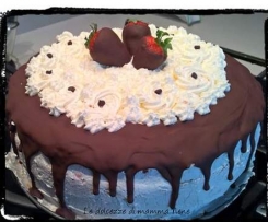 TORTA FRAGOLE E CIOCCOLATO