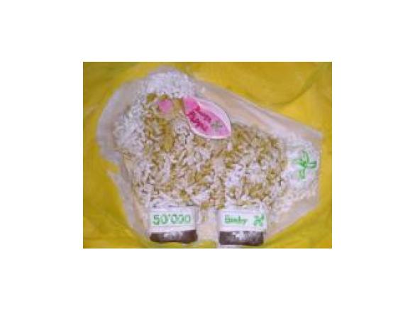 Pecora 50.000 Bimby fans