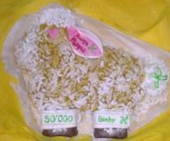 Pecora 50.000 Bimby fans