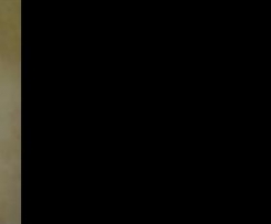 cornetti di pan brioche morbidi morbidi