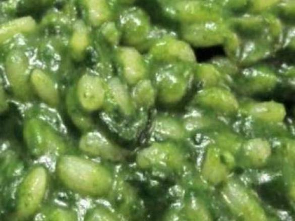 RISOTTO AGLI SPINACI E GORGONZOLA