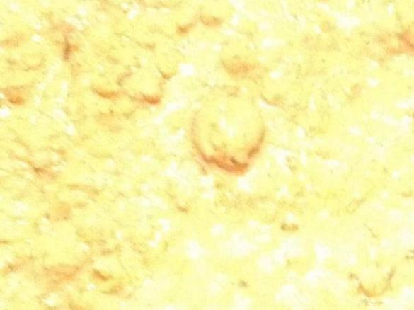 Paté di Nonna Amelia