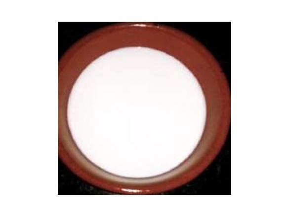 buttermilk(latticello per muffins dolce e salato