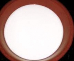 buttermilk(latticello per muffins dolce e salato