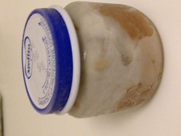 Omogeneizzati di carne