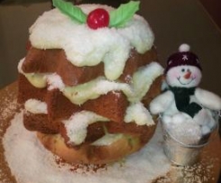 Pandorotto ( Pandoro veloce impastato e.......cotto!!!)