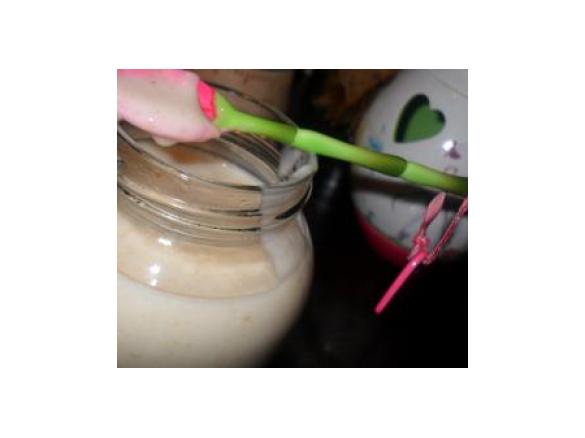 Besciamella macrobiotica