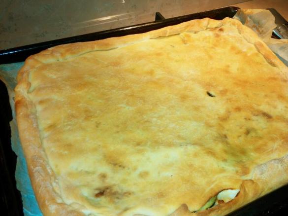 Panfocaccia zucchine, stracchino e tonno