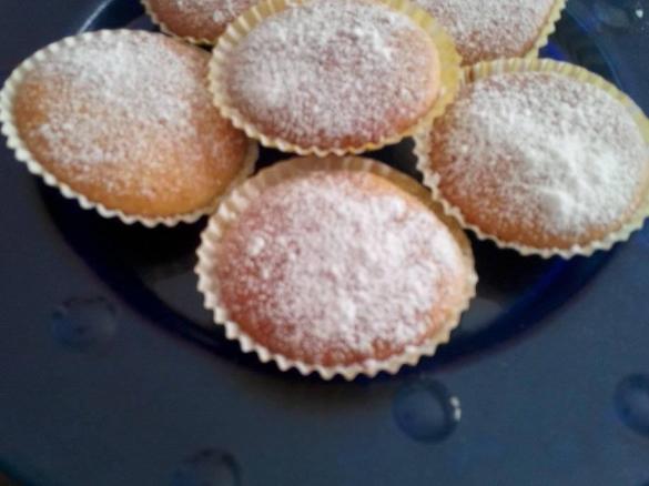 Camilline allo yogurt FAST