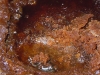 Granita al caffe'