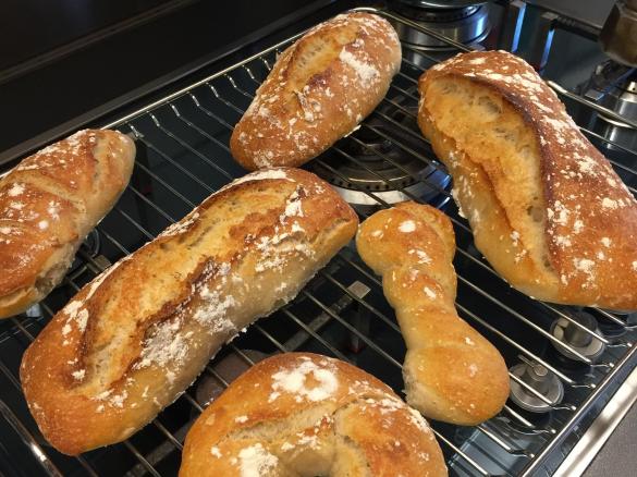 Panini a lunga lievitazione con pasta madre