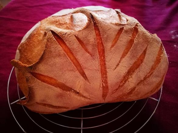 PANFOGLIA (ricetta di Josep Pascual dal blog di Cesira Pinciotti)