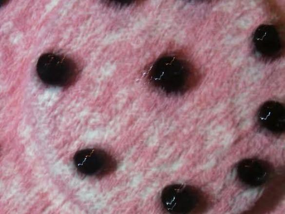 Pan di spagna.CONTEST.SAN.VALENTINO.