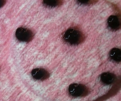 Pan di spagna.CONTEST.SAN.VALENTINO.