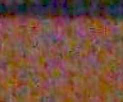 ROTOLO CON CREMA PANNA E RICOTTA