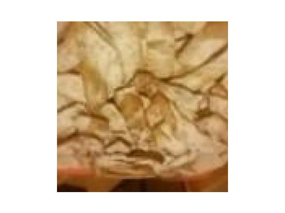 chiacchere di nonna chiara